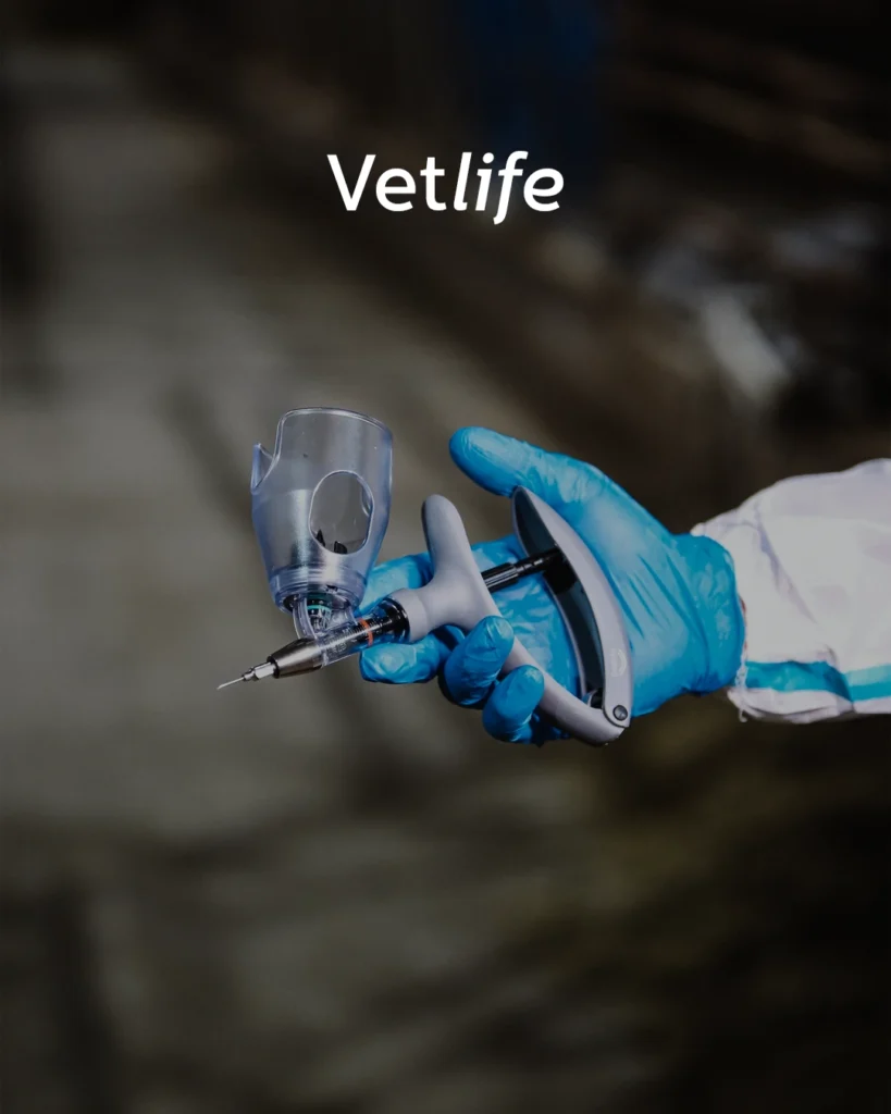 Dedeks-Vetlife