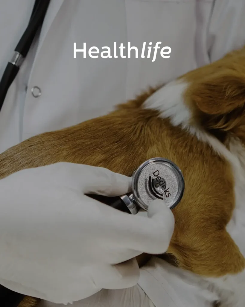 Dedeks-Healthlife